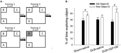 Use of Ceftriaxone in Treating Cognitive and Neuronal Deficits Associated With Dementia With Lewy Bodies